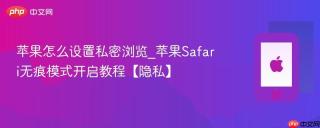 苹果怎么设置私密浏览_苹果Safari无痕模式开启教程【隐私】