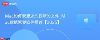 Mac如何恢复永久删除的文件_Mac数据恢复软件推荐【2025】