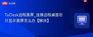 ToDesk远程黑屏_连接远程桌面后只显示黑屏怎么办【解决】
