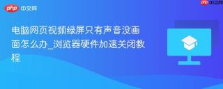 电脑网页视频绿屏只有声音没画面怎么办_浏览器硬件加速关闭教程