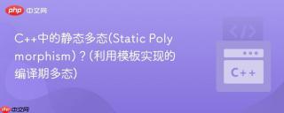 c++中的静态多态(static polymorphism)?(利用模板实现的编译期多态)
