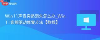 Win11声音突然消失怎么办_Win11音频驱动修复方法【教程】