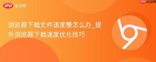 浏览器下载文件速度慢怎么办_提升浏览器下载速度优化技巧