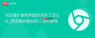 浏览器扩展程序图标消失了怎么办_固定插件图标到工具栏教程