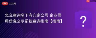 怎么查询名下有几家公司 企业信用信息公示系统查询指南【指南】