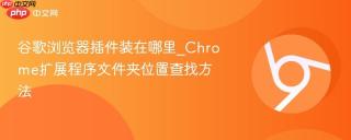 谷歌浏览器插件装在哪里_chrome扩展程序文件夹位置查找方法