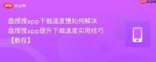 盘搜搜app下载速度慢如何解决 盘搜搜app提升下载速度实用技巧【教程】