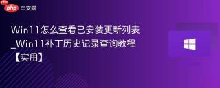 Win11怎么查看已安装更新列表_Win11补丁历史记录查询教程【实用】