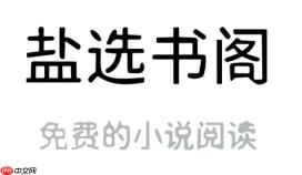 盐选书阁(网页) 小说入口 盐选书阁(在线版) 官方通道