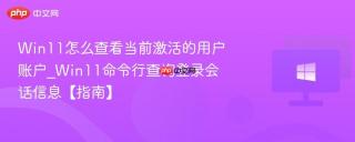 Win11怎么查看当前激活的用户账户_Win11命令行查询登录会话信息【指南】