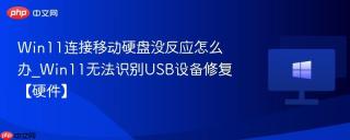 Win11连接移动硬盘没反应怎么办_Win11无法识别USB设备修复【硬件】
