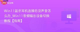 Win11蓝牙耳机连接后没声音怎么办_Win11音频输出设备切换教程【指南】
