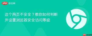 这个网页不安全？教你如何判断并设置浏览器安全访问等级