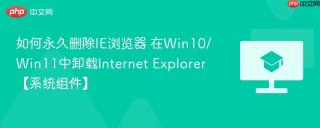 如何永久删除IE浏览器 在Win10/Win11中卸载Internet Explorer【系统组件】