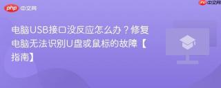 电脑USB接口没反应怎么办？修复电脑无法识别U盘或鼠标的故障【指南】