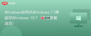 Windows如何从Windows 11降级回Windows 10？（系统恢复选项）