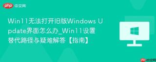 Win11无法打开旧版Windows Update界面怎么办_Win11设置替代路径与疑难解答【指南】