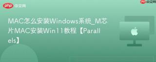 MAC怎么安装Windows系统_M芯片MAC安装Win11教程【Parallels】