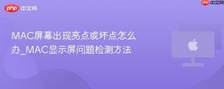 MAC屏幕出现亮点或坏点怎么办_MAC显示屏问题检测方法
