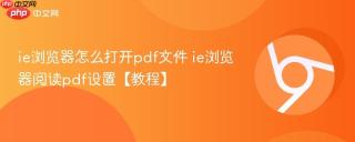 ie浏览器怎么打开pdf文件 ie浏览器阅读pdf设置【教程】