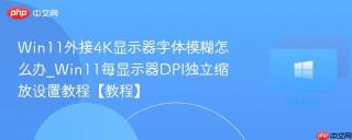 Win11外接4K显示器字体模糊怎么办_Win11每显示器DPI独立缩放设置教程【教程】