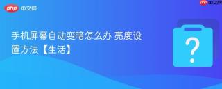 手机屏幕自动变暗怎么办 亮度设置方法【生活】