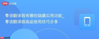 粤语翻译器有哪些隐藏实用功能_粤语翻译器高级使用技巧分享