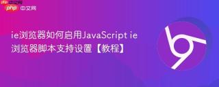 ie浏览器如何启用JavaScript ie浏览器脚本支持设置【教程】