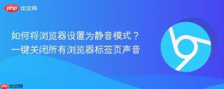 如何将浏览器设置为静音模式？一键关闭所有浏览器标签页声音
