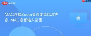 MAC连接Zoom会议麦克风没声音_MAC音频输入设置