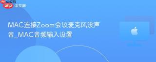 mac连接zoom会议麦克风没声音_mac音频输入设置