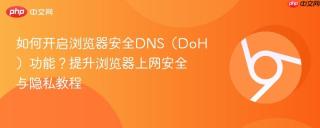 如何开启浏览器安全DNS（DoH）功能？提升浏览器上网安全与隐私教程