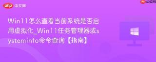 Win11怎么查看当前系统是否启用虚拟化_Win11任务管理器或systeminfo命令查询【指南】