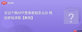 忘记个税APP登录密码怎么办 找回密码流程【教程】