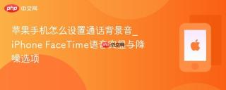 苹果手机怎么设置通话背景音_iPhone FaceTime语音突显与降噪选项