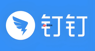 钉钉网页版入口平台 钉钉官网登录页面