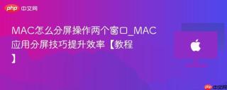 MAC怎么分屏操作两个窗口_MAC应用分屏技巧提升效率【教程】