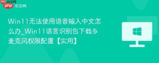 Win11无法使用语音输入中文怎么办_Win11语言识别包下载与麦克风权限配置【实用】