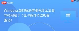 Windows如何解决屏幕亮度无法调节的问题？（显卡驱动与监视器驱动）