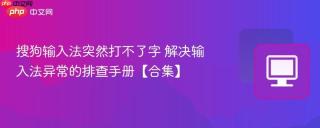搜狗输入法突然打不了字 解决输入法异常的排查手册【合集】