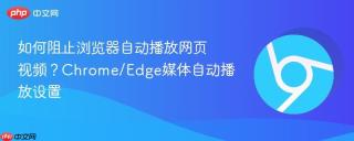 如何阻止浏览器自动播放网页视频？Chrome/Edge媒体自动播放设置