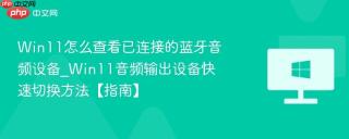 Win11怎么查看已连接的蓝牙音频设备_Win11音频输出设备快速切换方法【指南】
