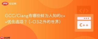 GCC/Clang有哪些鲜为人知的c++优化选项？ (-O3之外的世界)