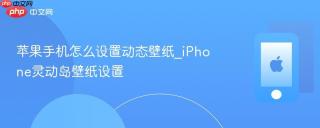 苹果手机怎么设置动态壁纸_iPhone灵动岛壁纸设置