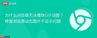 为什么浏览器无法播放GIF动图？修复浏览器动态图片不显示问题