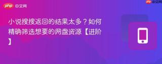 小说搜搜返回的结果太多？如何精确筛选想要的网盘资源【进阶】