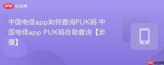 中国电信app如何查询PUK码 中国电信app PUK码自助查询【步骤】