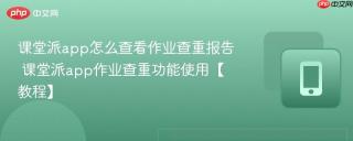 课堂派app怎么查看作业查重报告 课堂派app作业查重功能使用【教程】