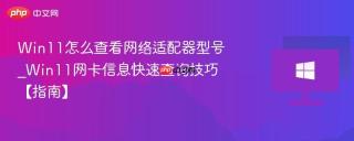 win11怎么查看网络适配器型号_win11网卡信息快速查询技巧【指南】