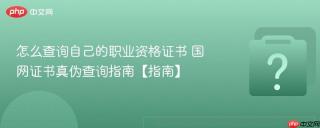 怎么查询自己的职业资格证书 国网证书真伪查询指南【指南】